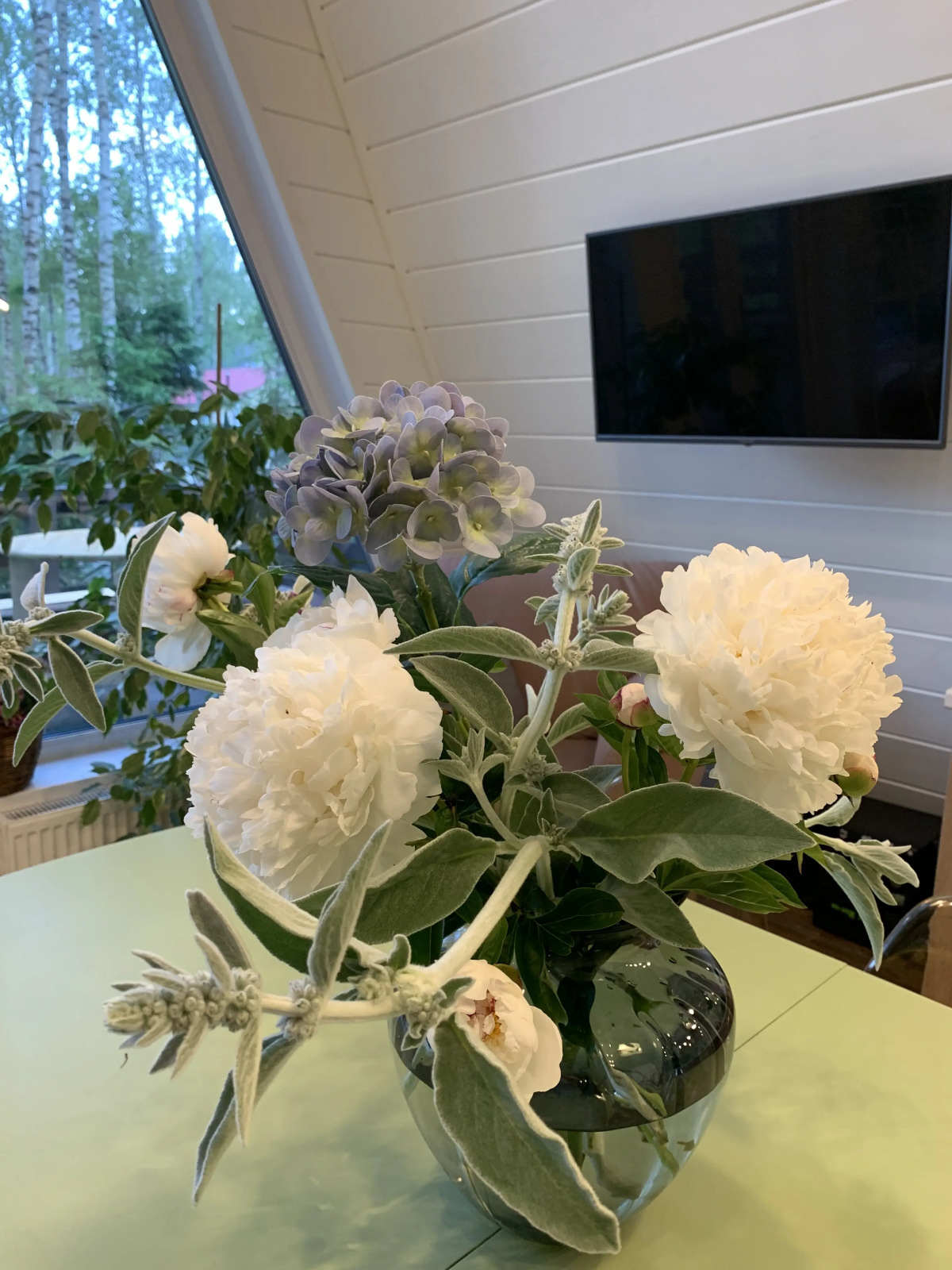 Частный дом A-фрейм в лесу Зеленого города