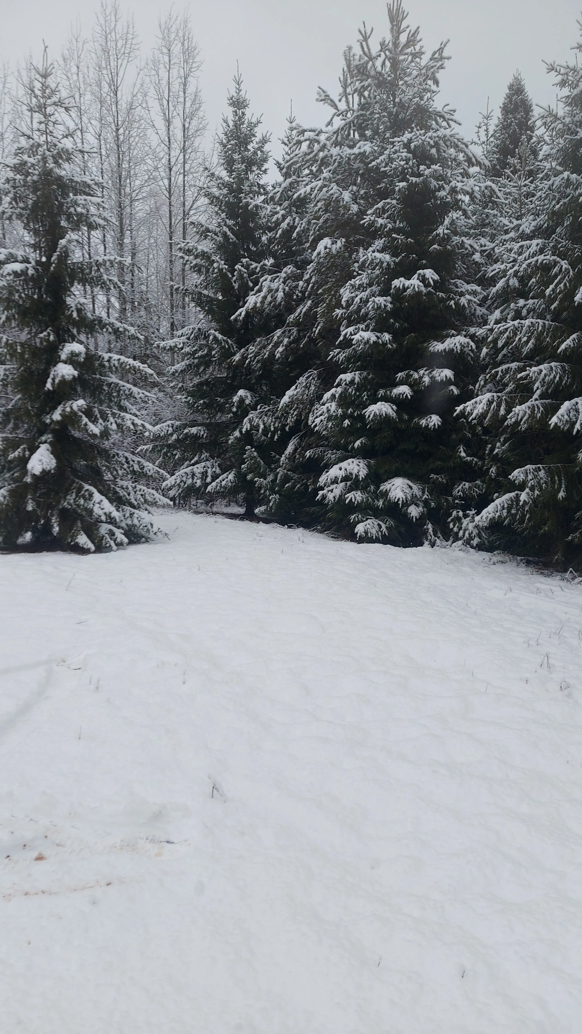 Гостевой дом Терем Морозко