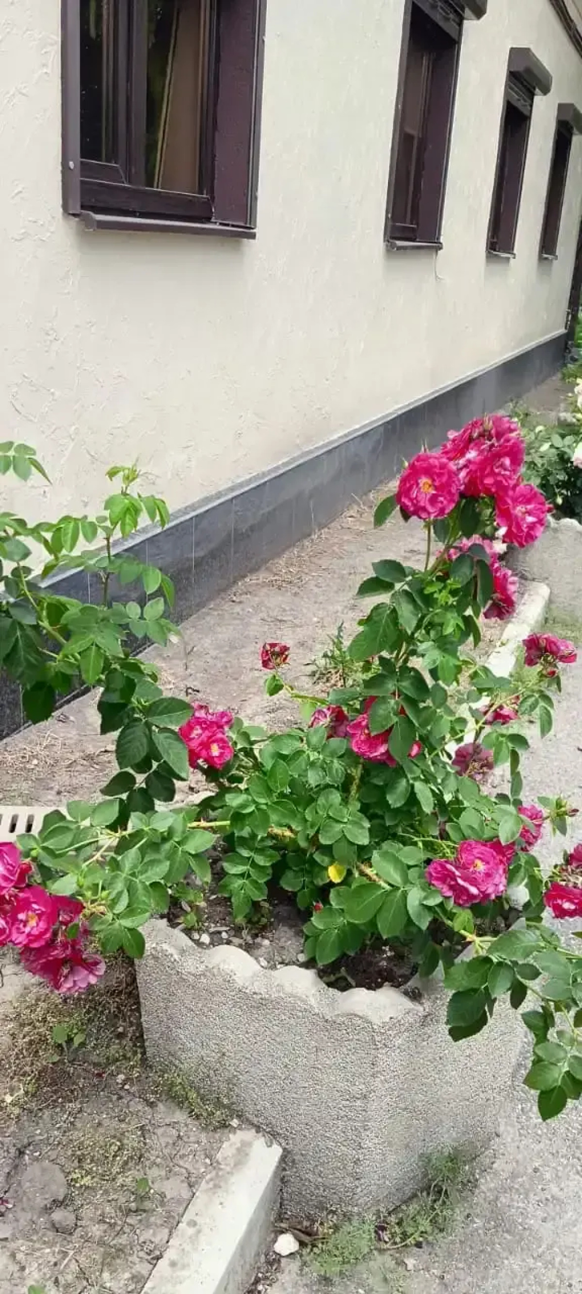 Гостевой Дом на Яснополянской