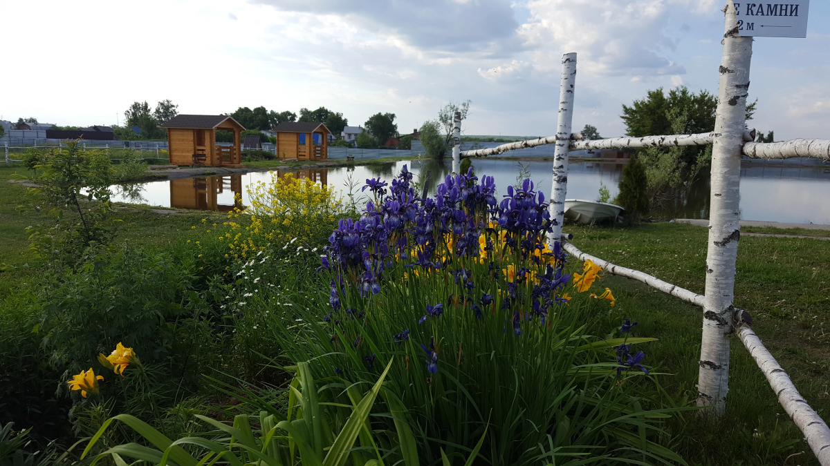 Мини-отель Подсолнухи