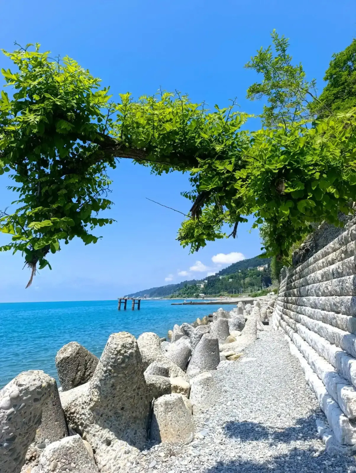 Гостевой дом Villa Soho Sochi Russia