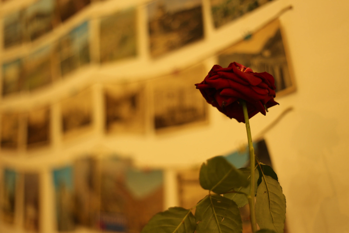 Хостел Moosica