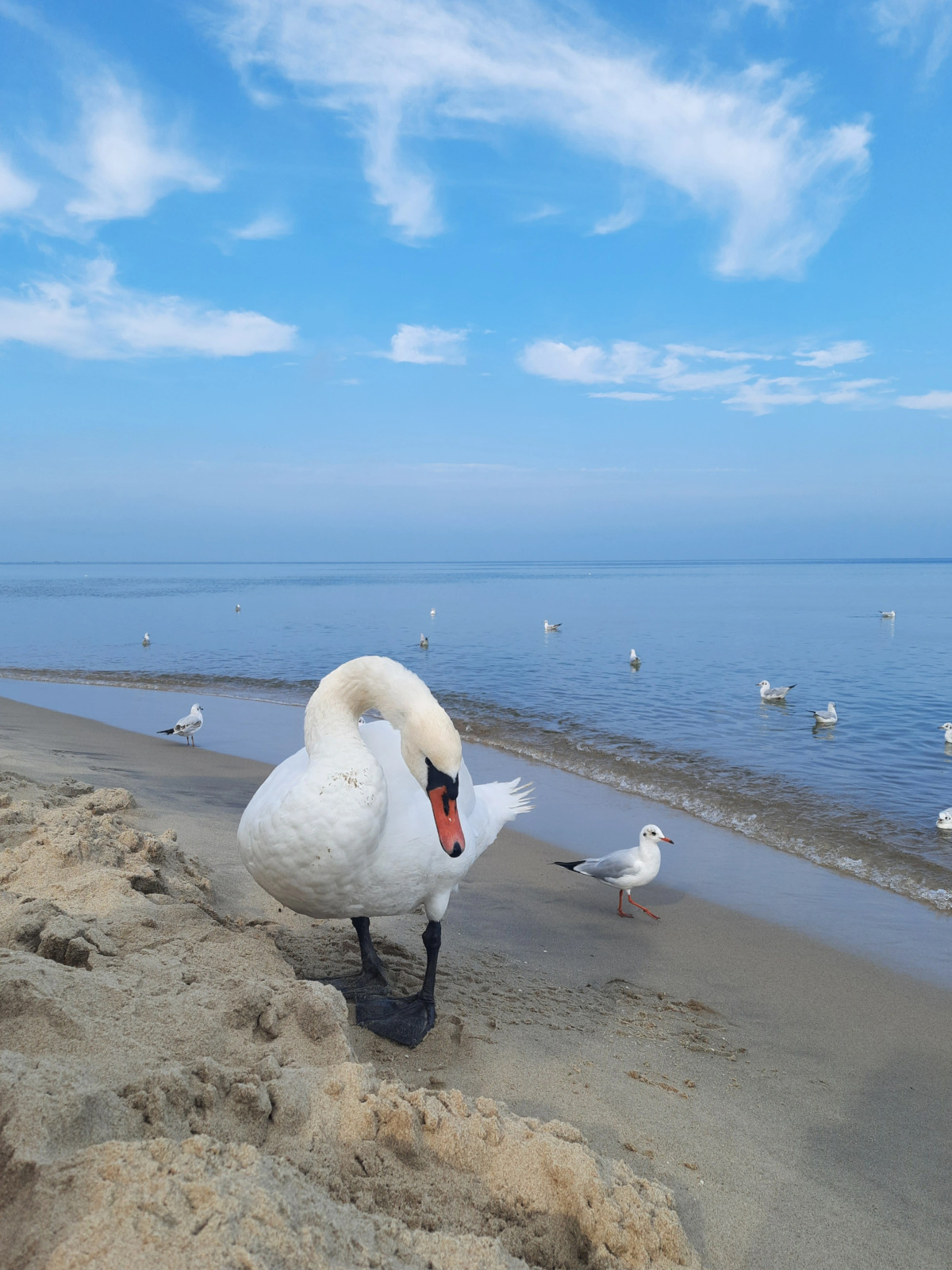 Апартаменты НА ПОБЕРЕЖЬЕ У ОЗЕРА РЯДОМ С МОРЕМ
