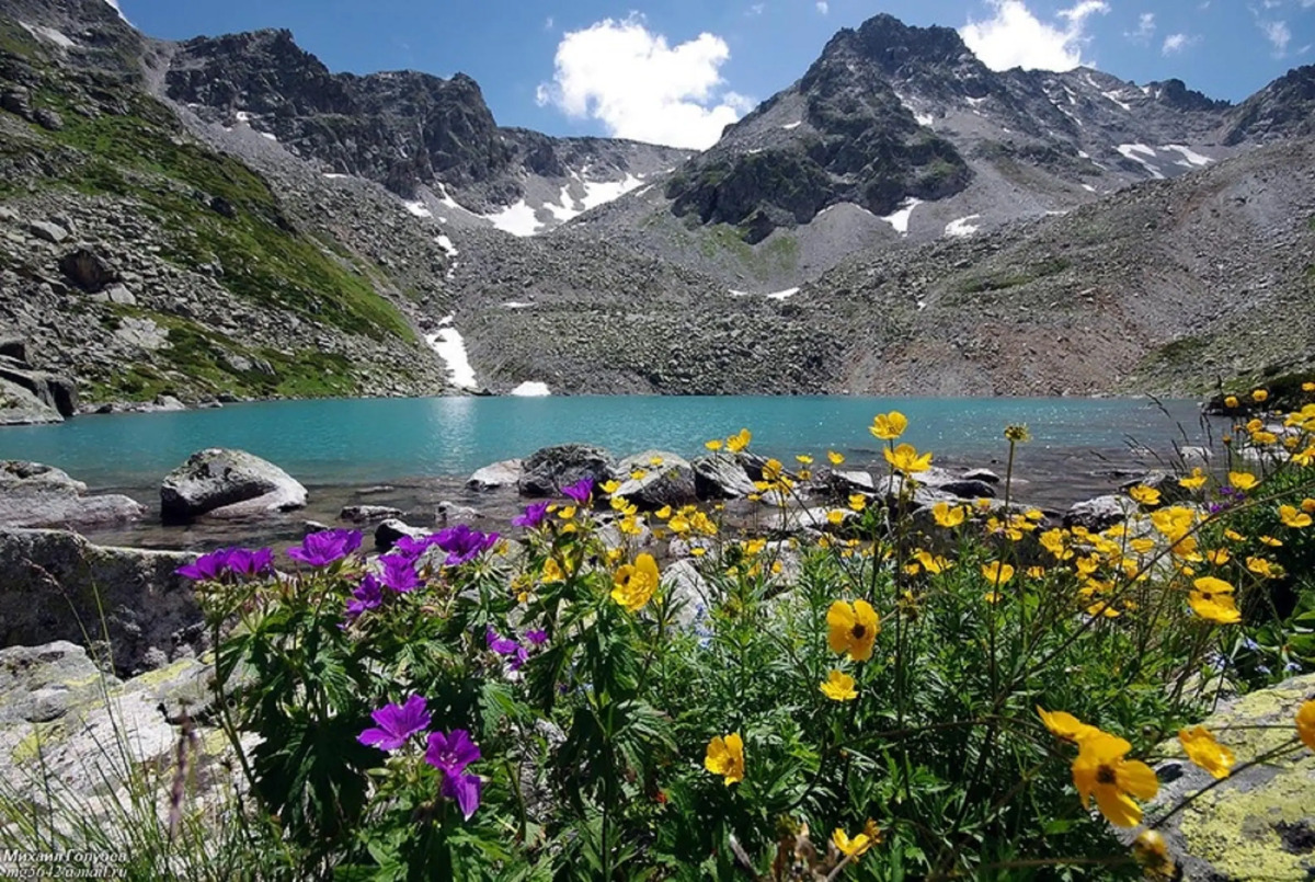 Гостиница Кристалл