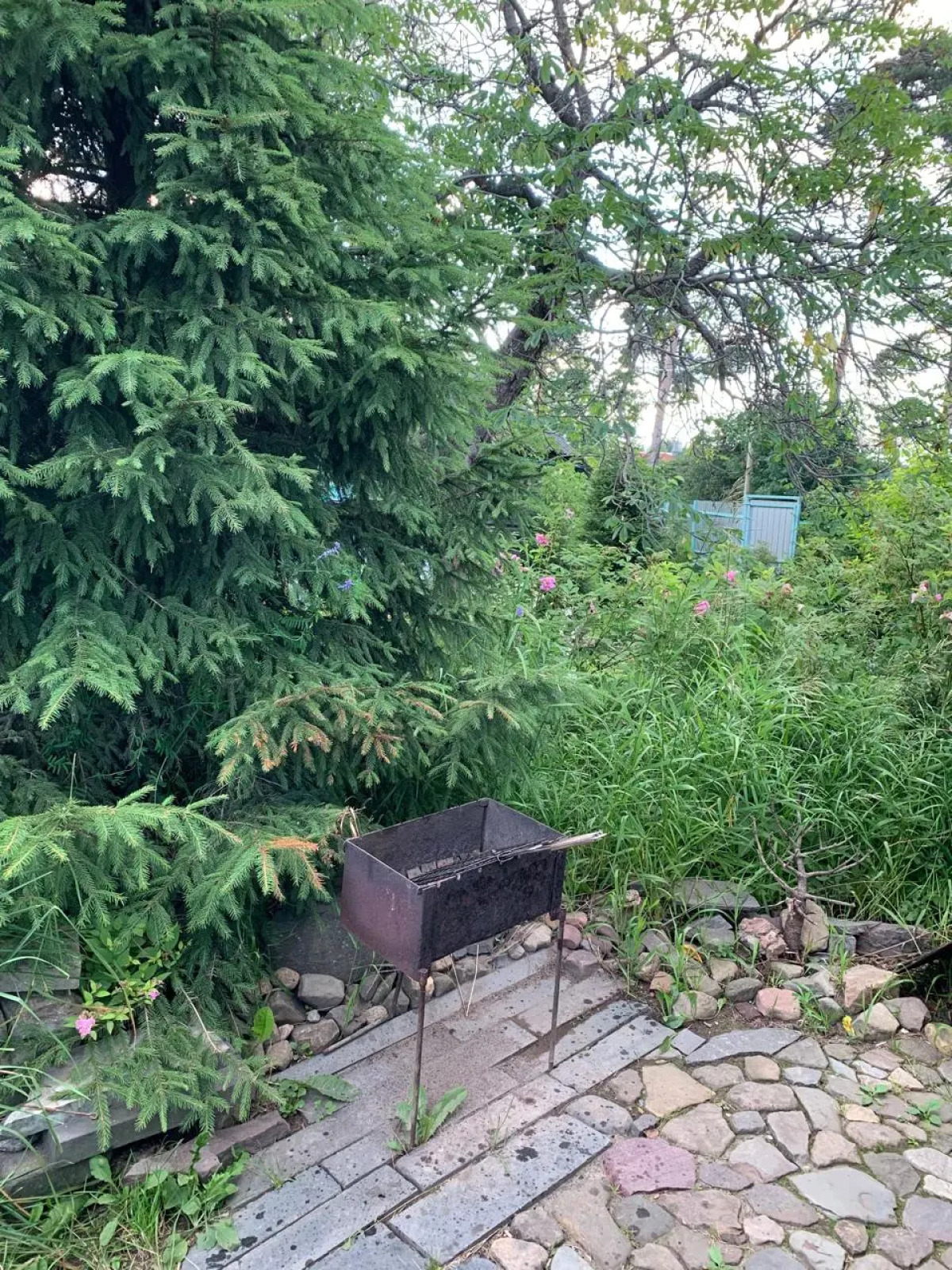 Частный дом в городе Петрозаводске с красивым уединённым участком и баней