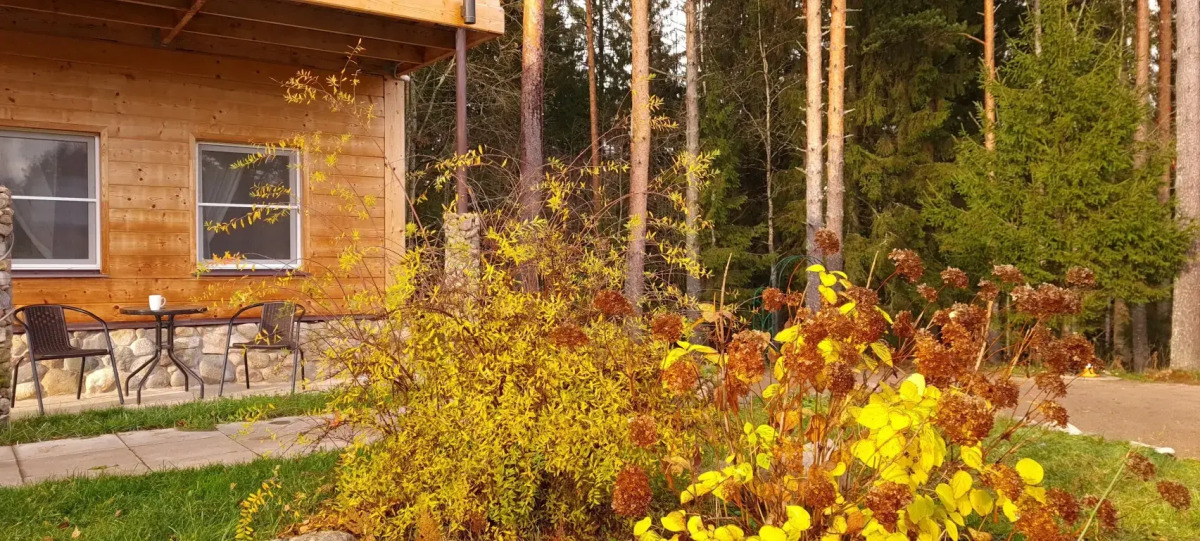 Апартаменты Валдай Пространство мечты 2