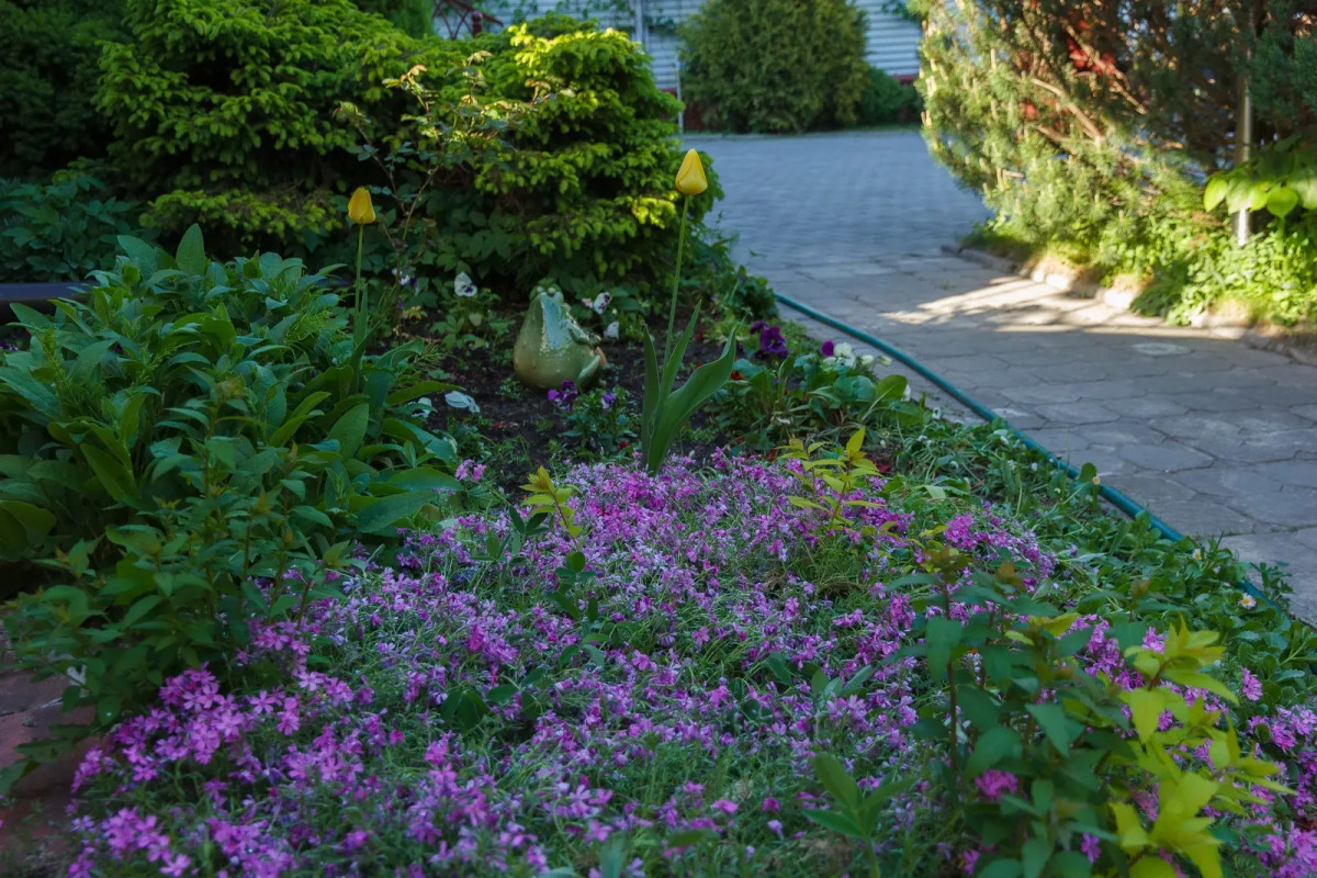 Меблированные комнаты Вилла Северин