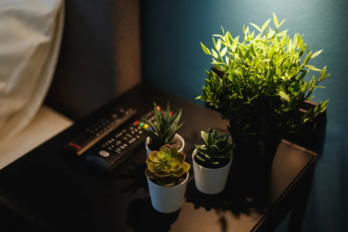 Апартаменты Vincent Apart