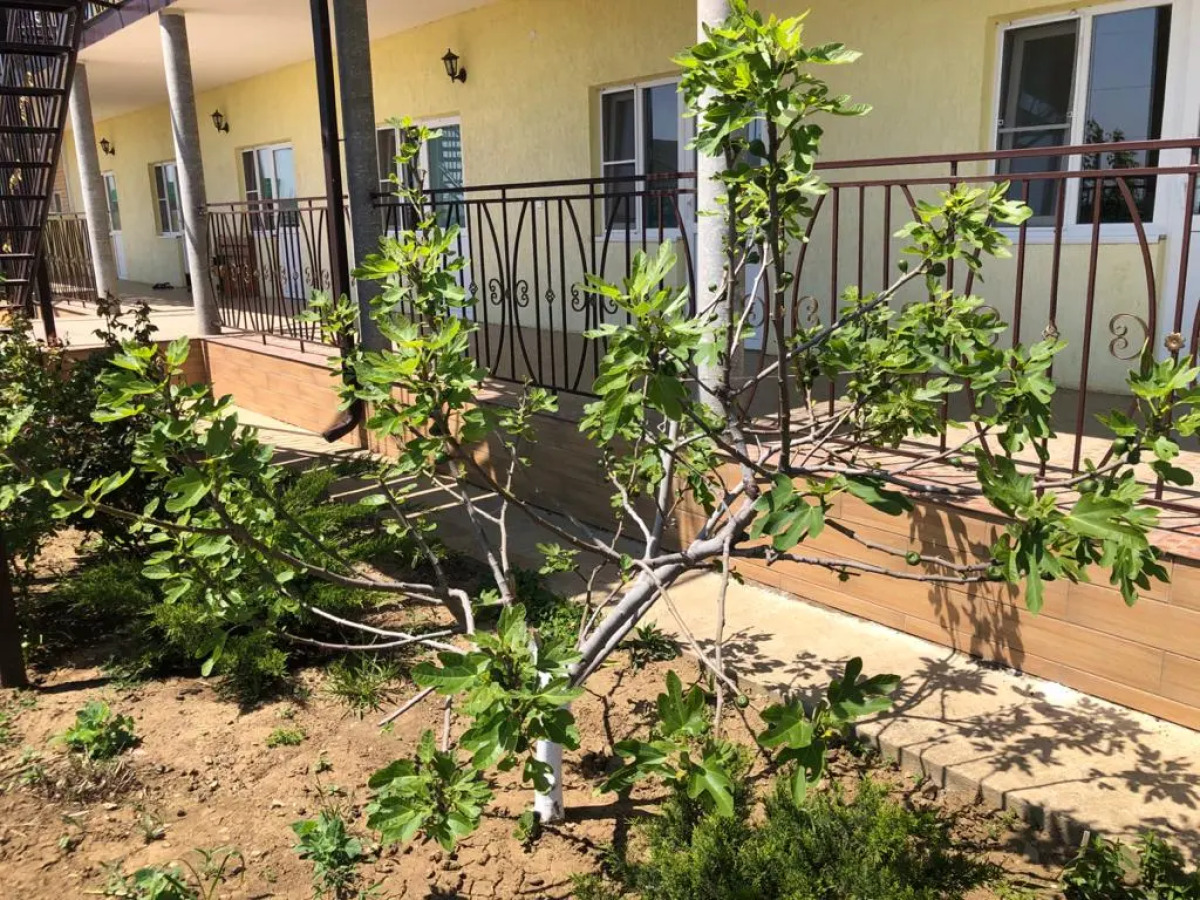 Гостевой дом Liberta загородный дом на Азовском море