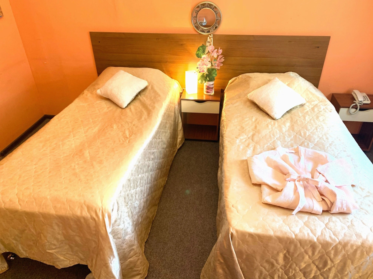 Гостевой дом Премьера у Мариинского театра