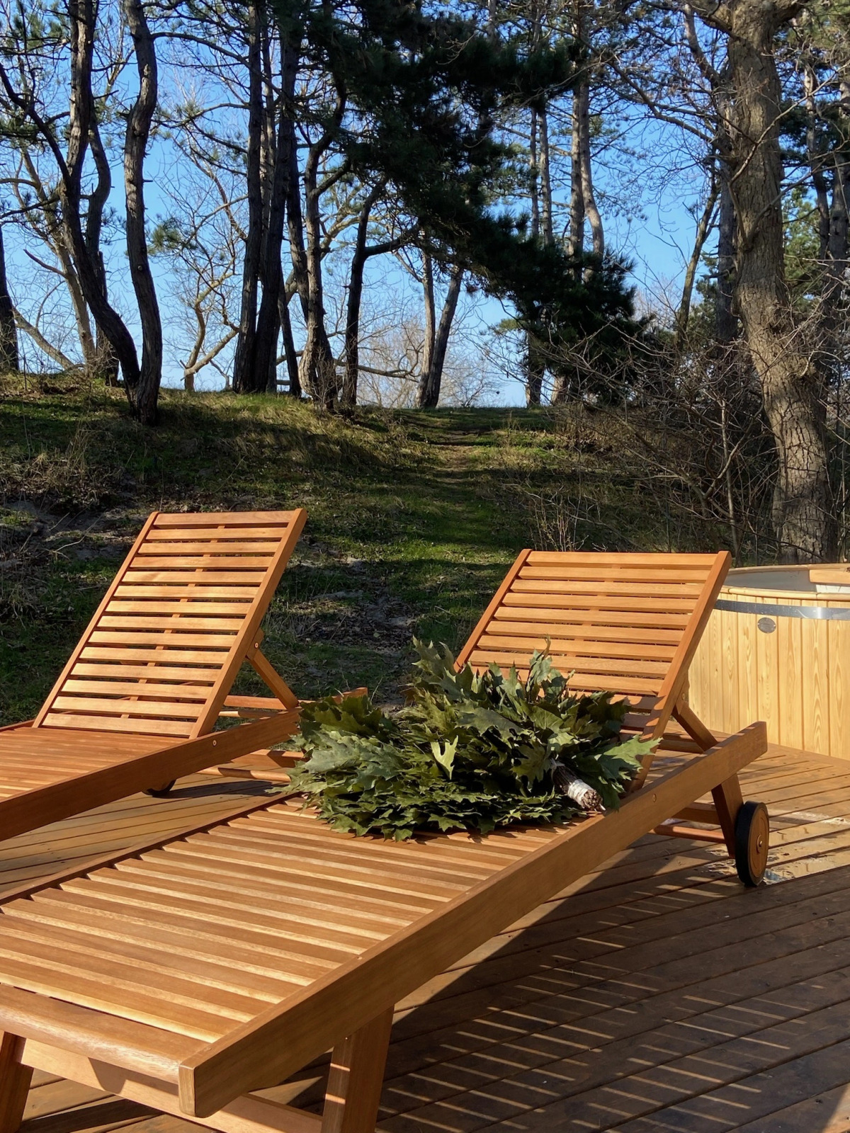 Глэмпинг Викингуд