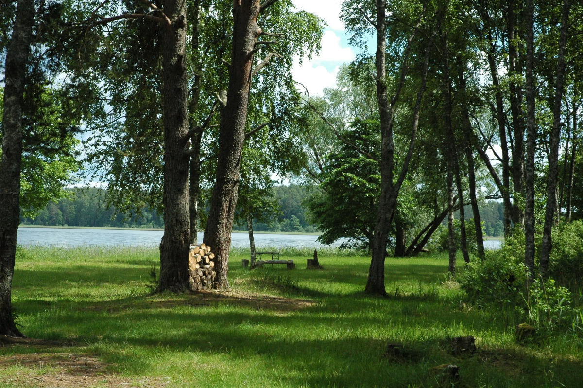 Гостевой Дом Шишки