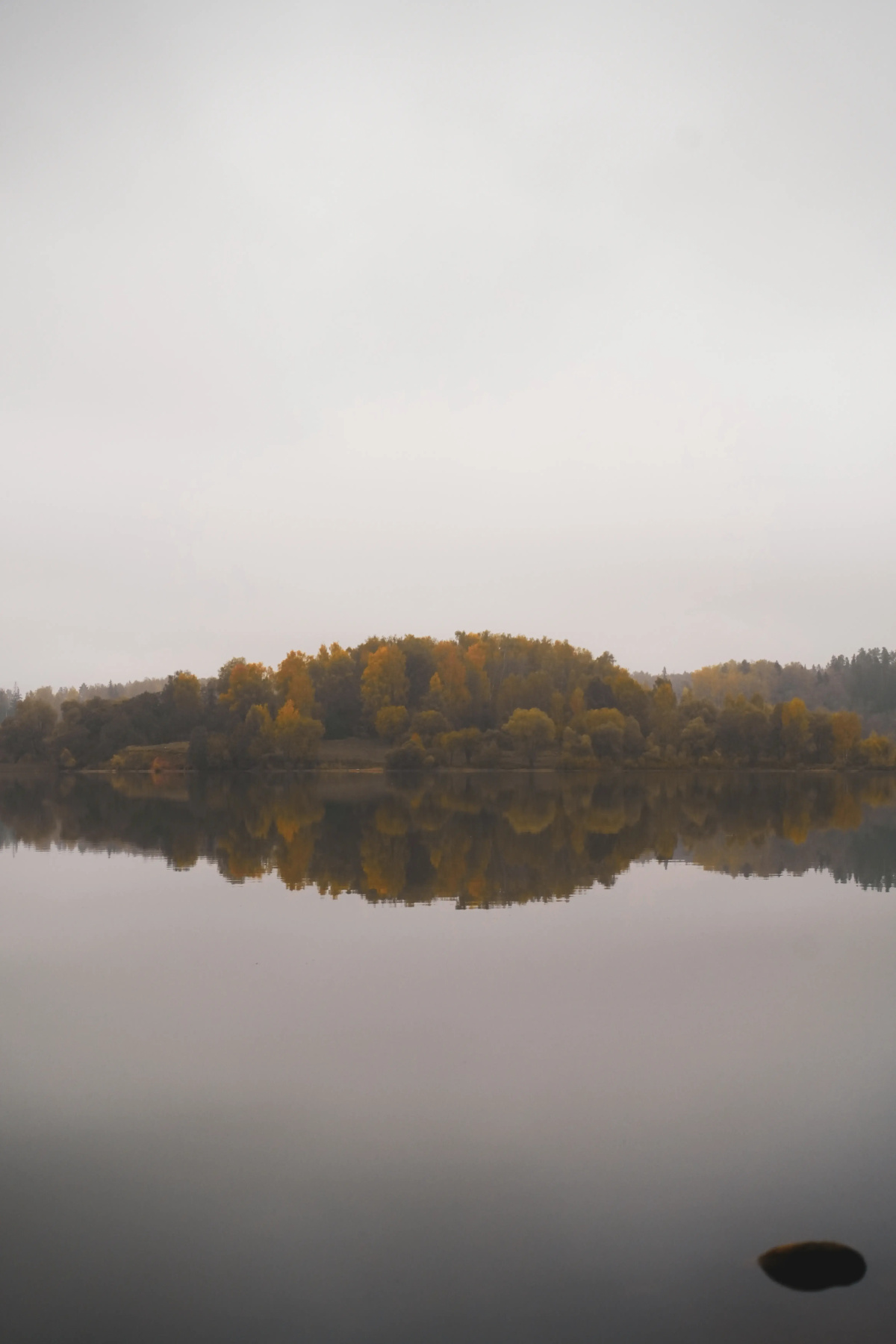 Глэмпинг Ruza River Club