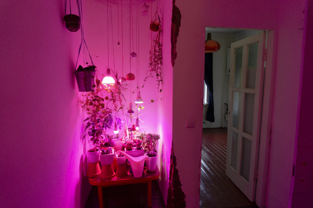 Гостевой дом Замок