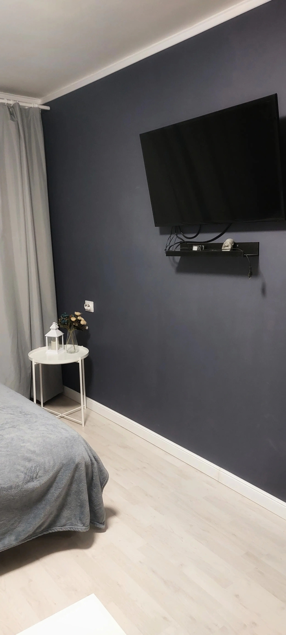 Студия вблизи соснового бора