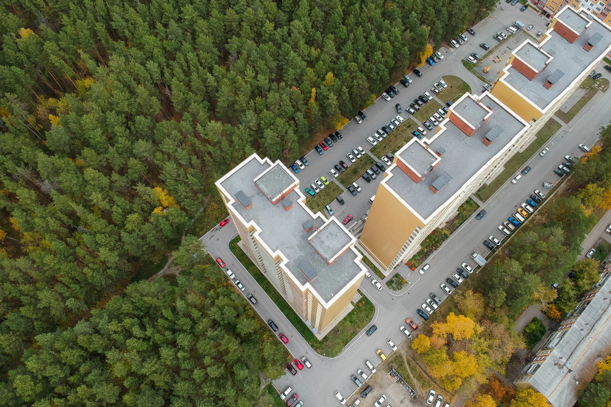 Квартира с окнами на лес