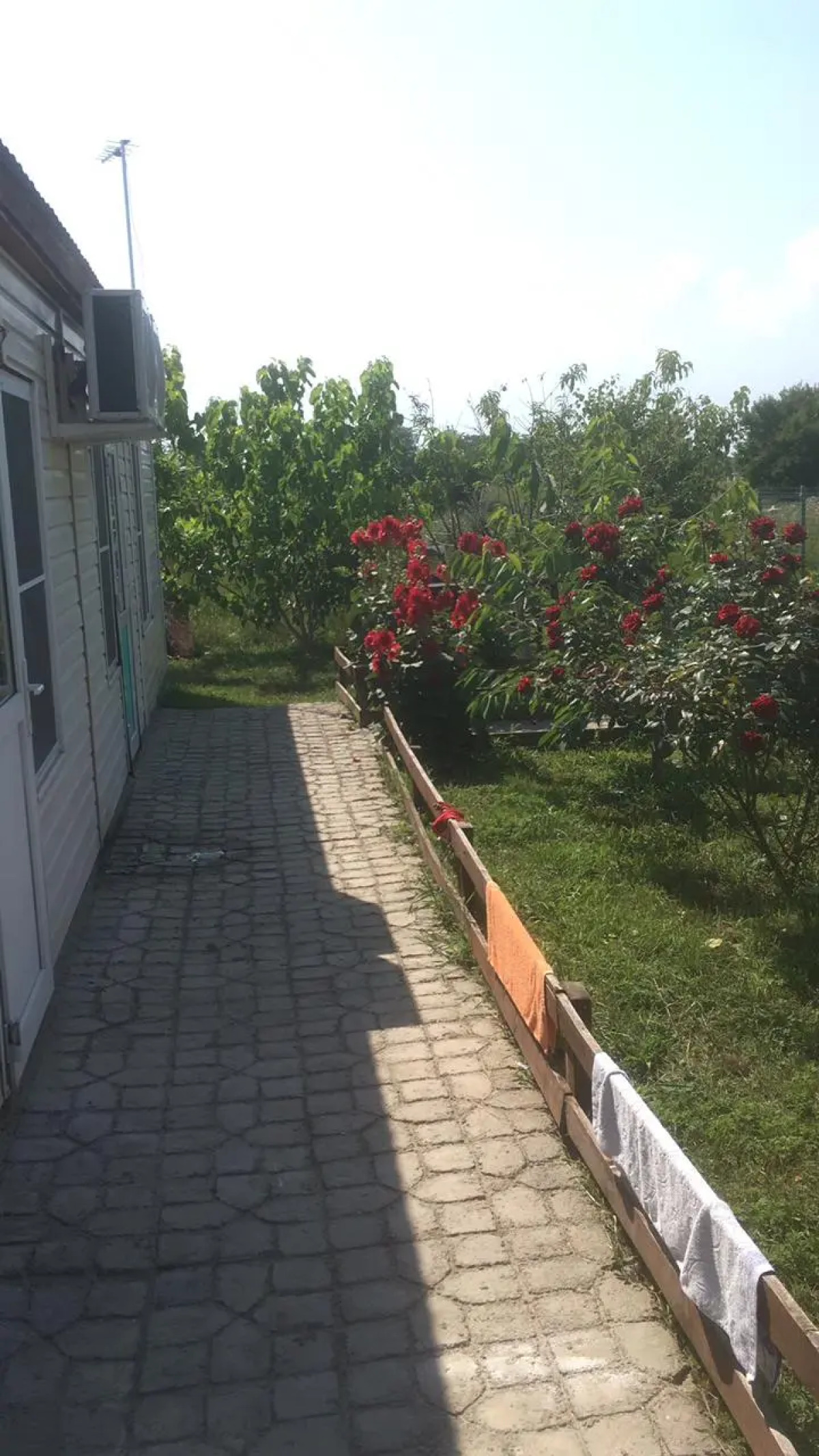 Звезда Азова