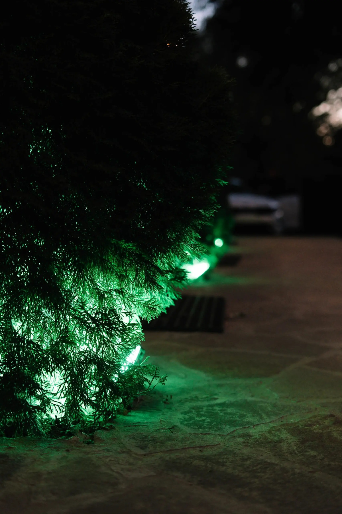 База отдыха Белуга