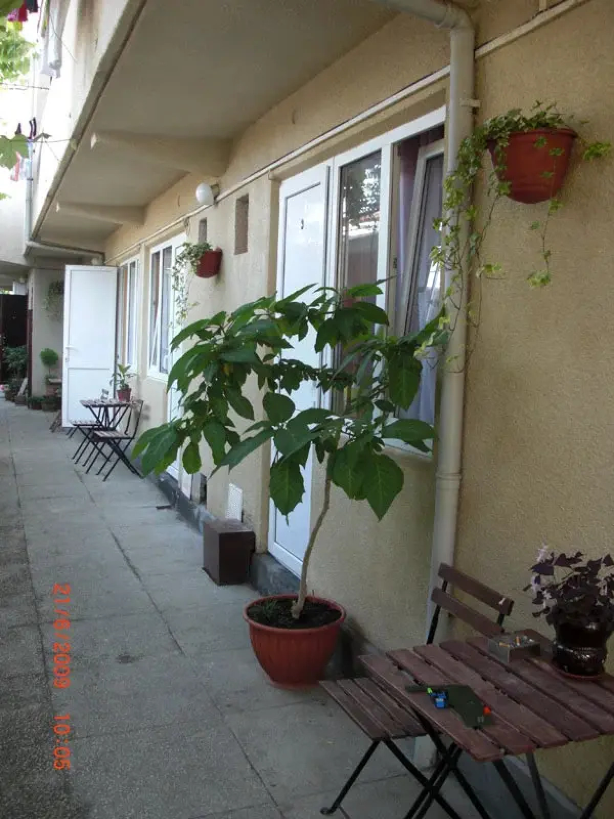 Меблированные комнаты Альянс