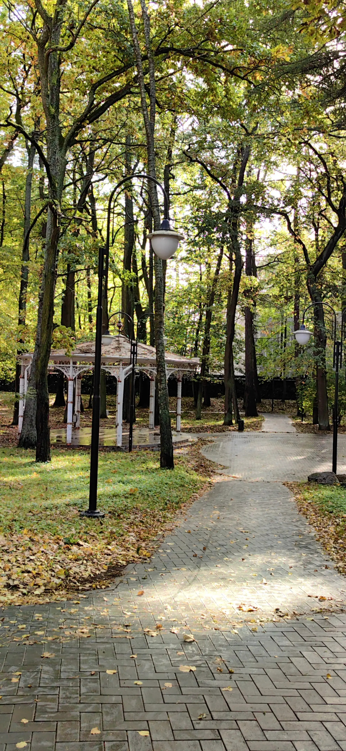 Апартаменты 2 Хоум Раушен в Светлогорске