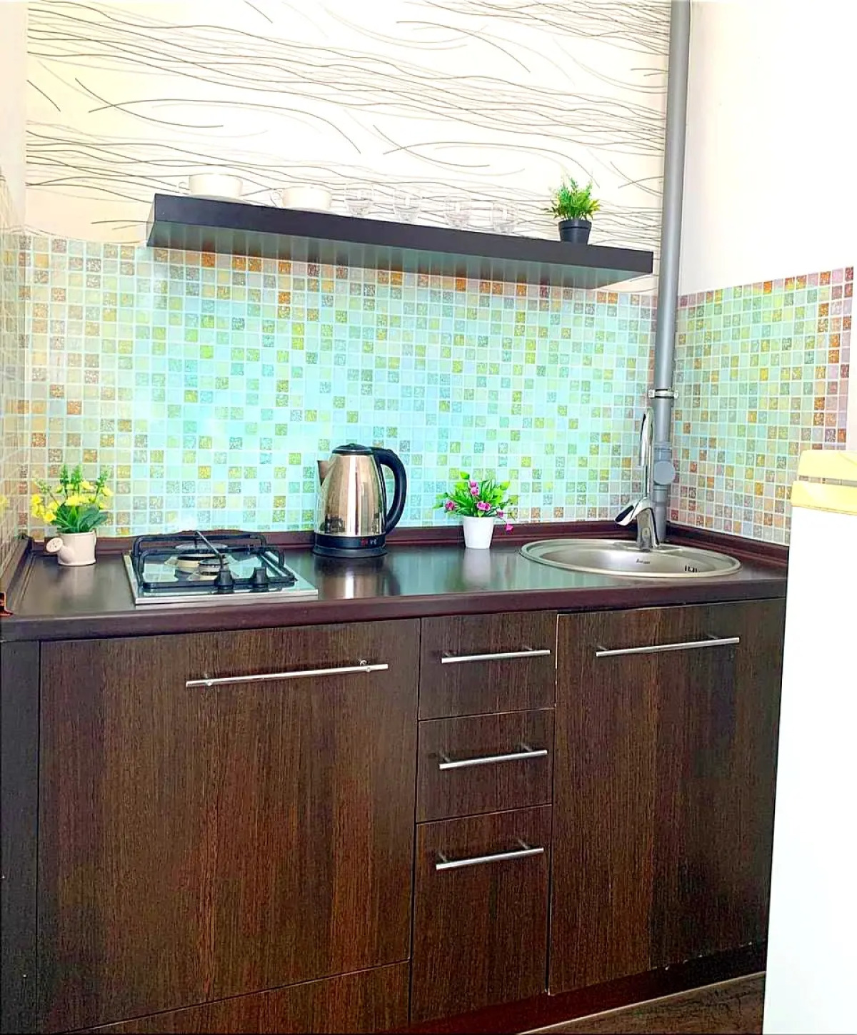 Апартаменты в центре с видом на пруд