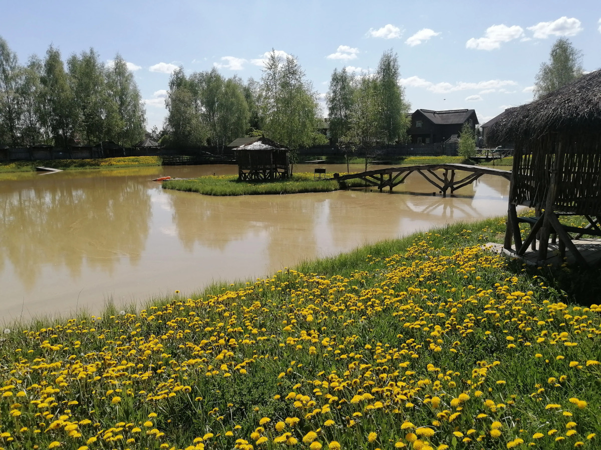 Гостевой дом Окулова Заимка