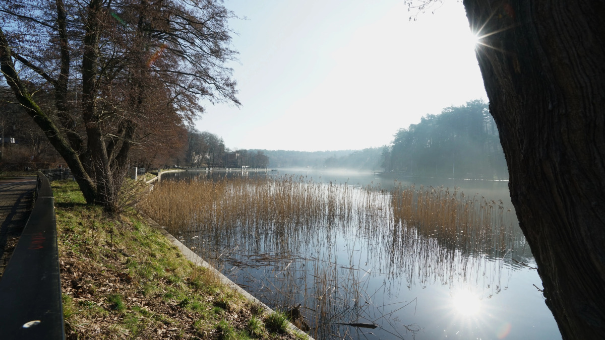 Квартира под шепот волн