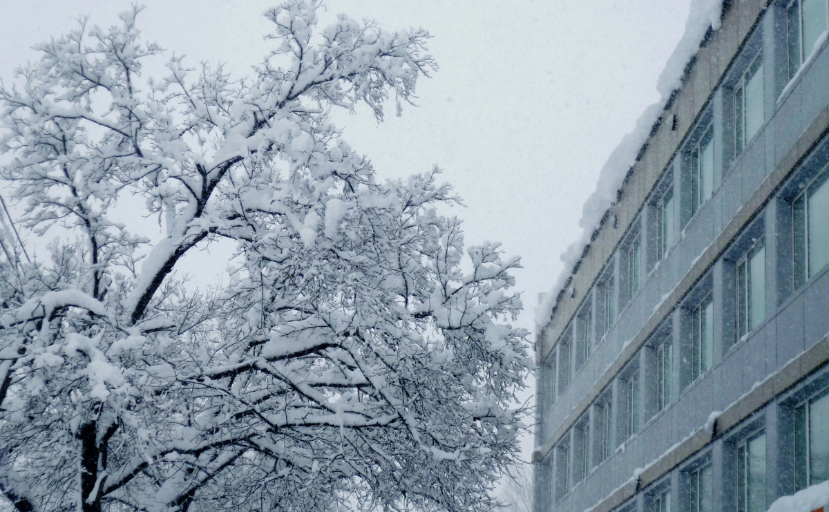 Гостиничный комплекс Турист