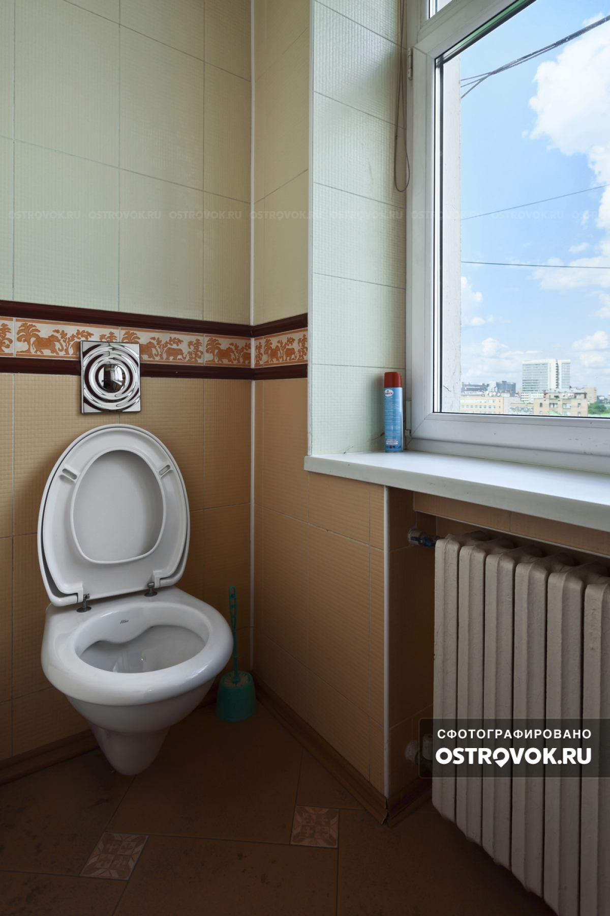 Меблированные комнаты Шаманка