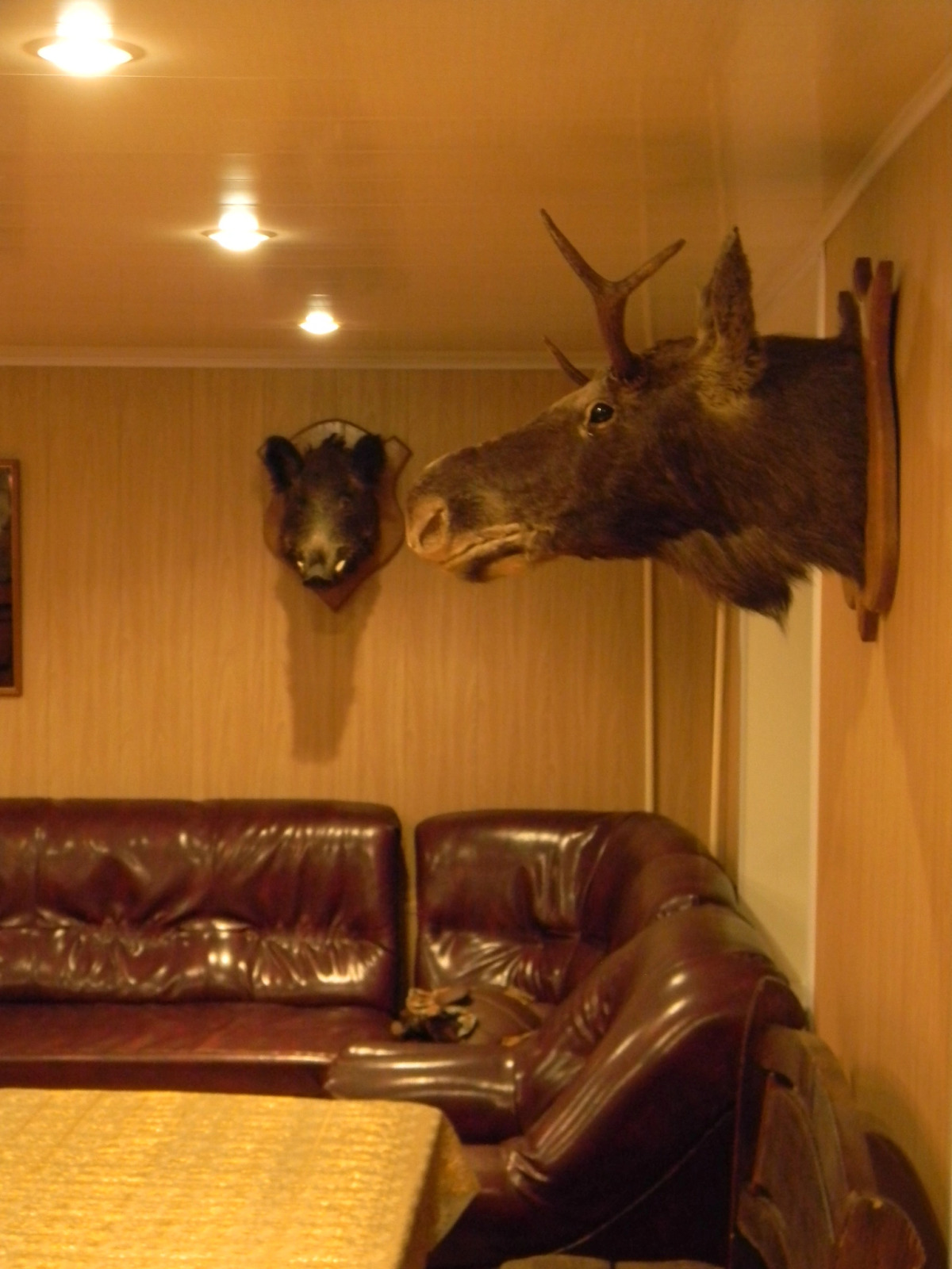 Отель Марсель