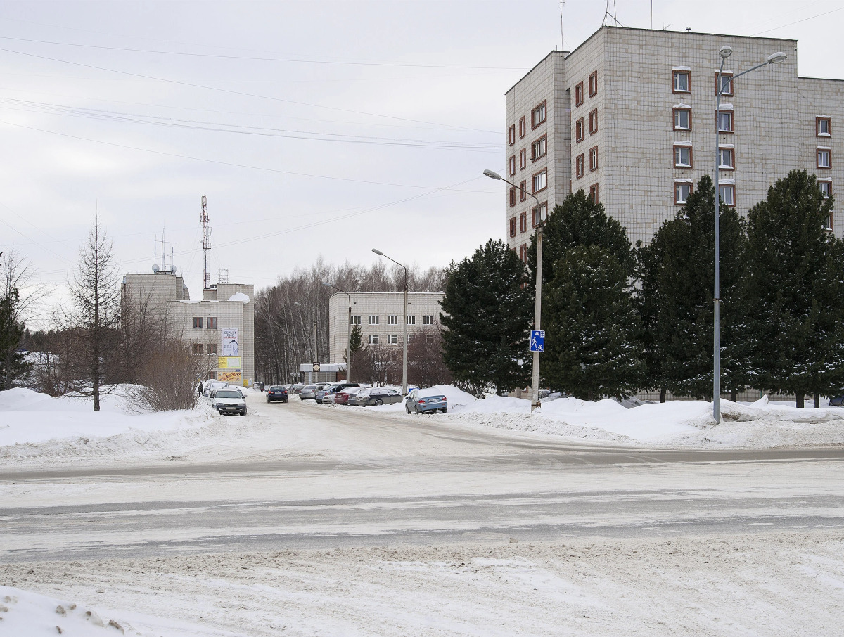 Отель Серый Лис