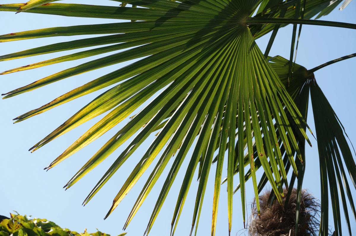 Гостевой Дом K&T