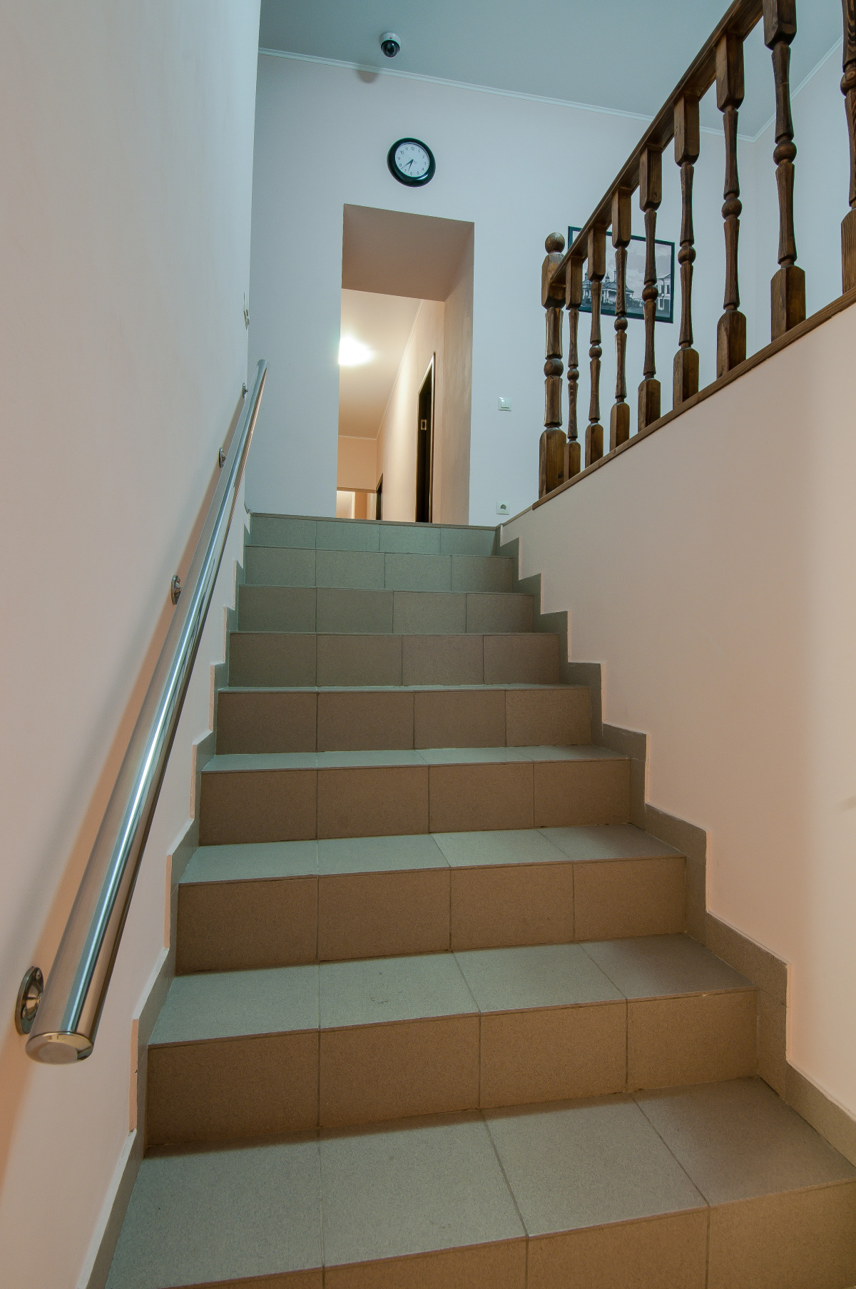 Базилик Чаплыгин