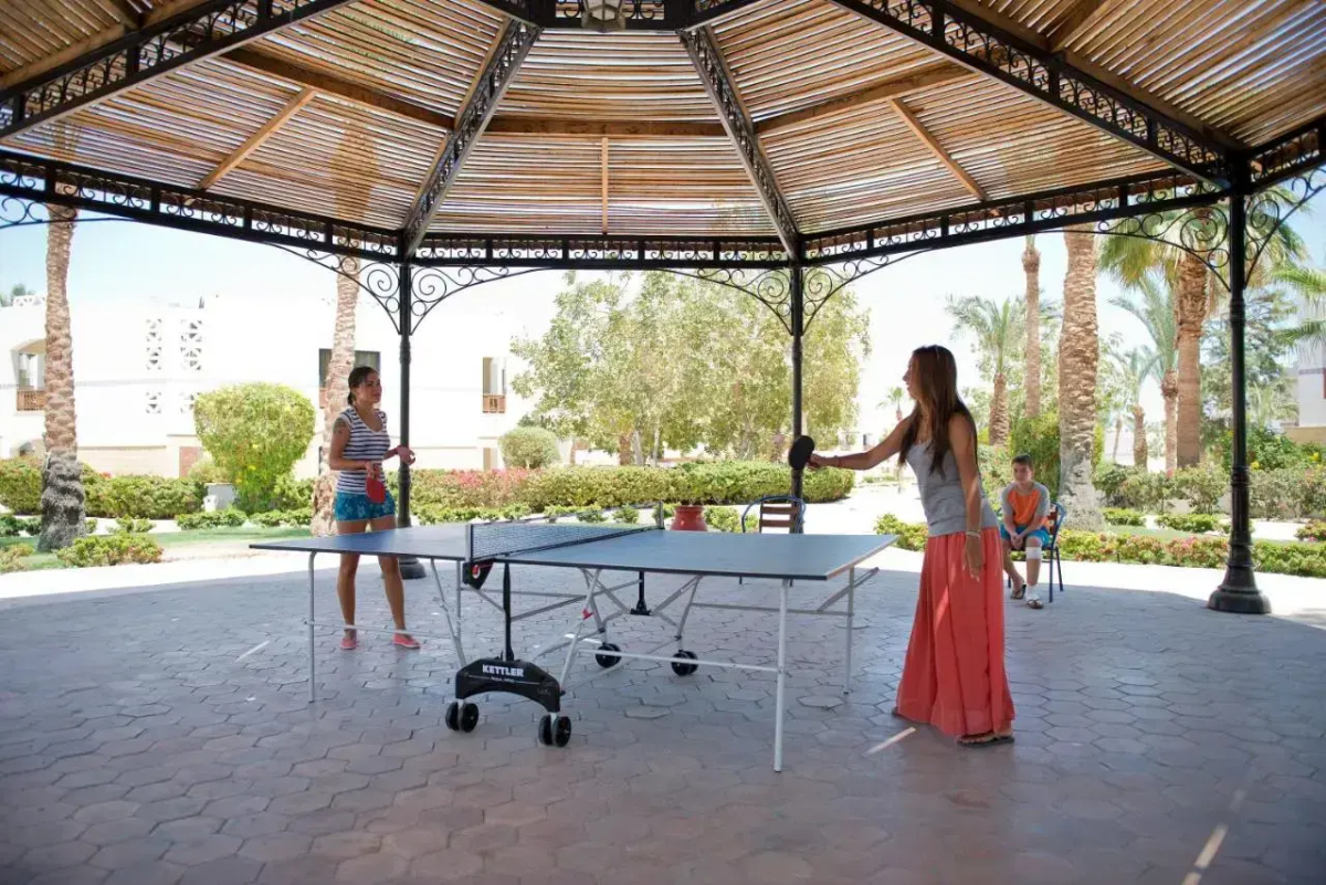 Amphoras Aqua Adults Friendly