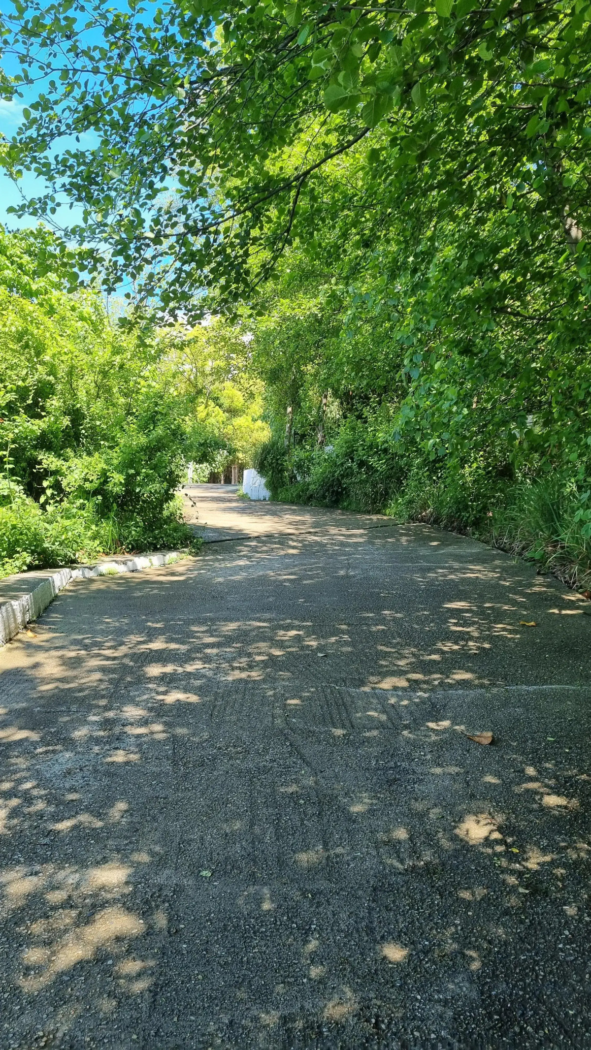 Мини-отель На берегу