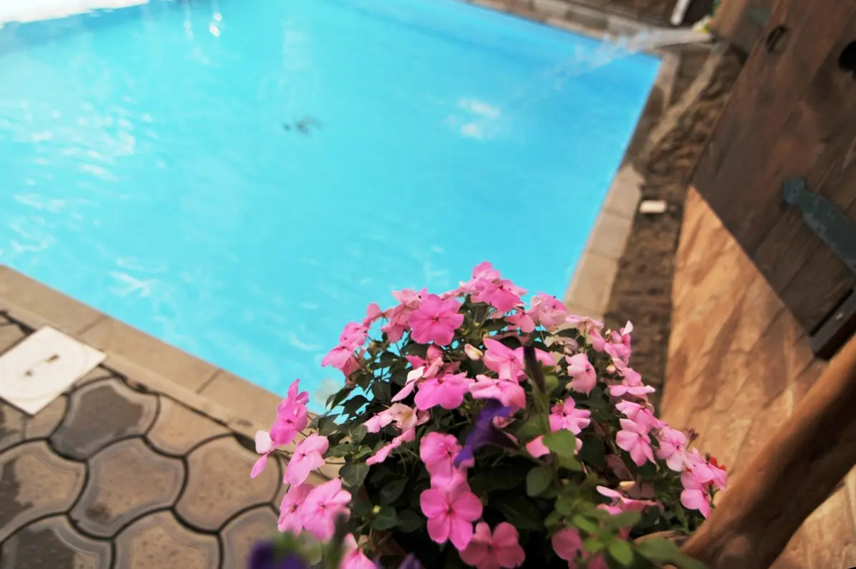 Отель Максимус