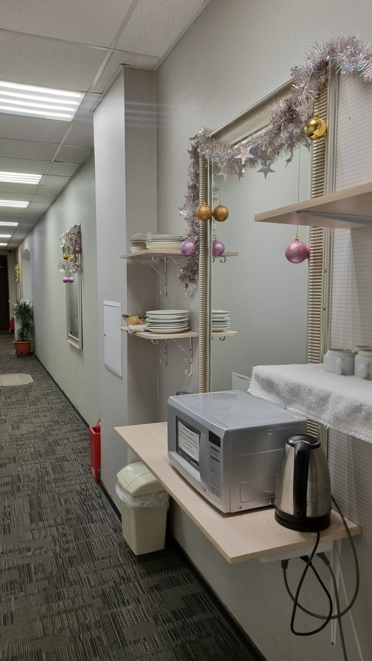 Меблированные комнаты Большой 45