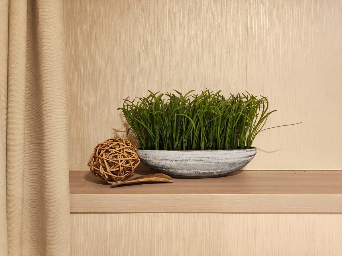 Апартаменты Life for Funny Rauschen