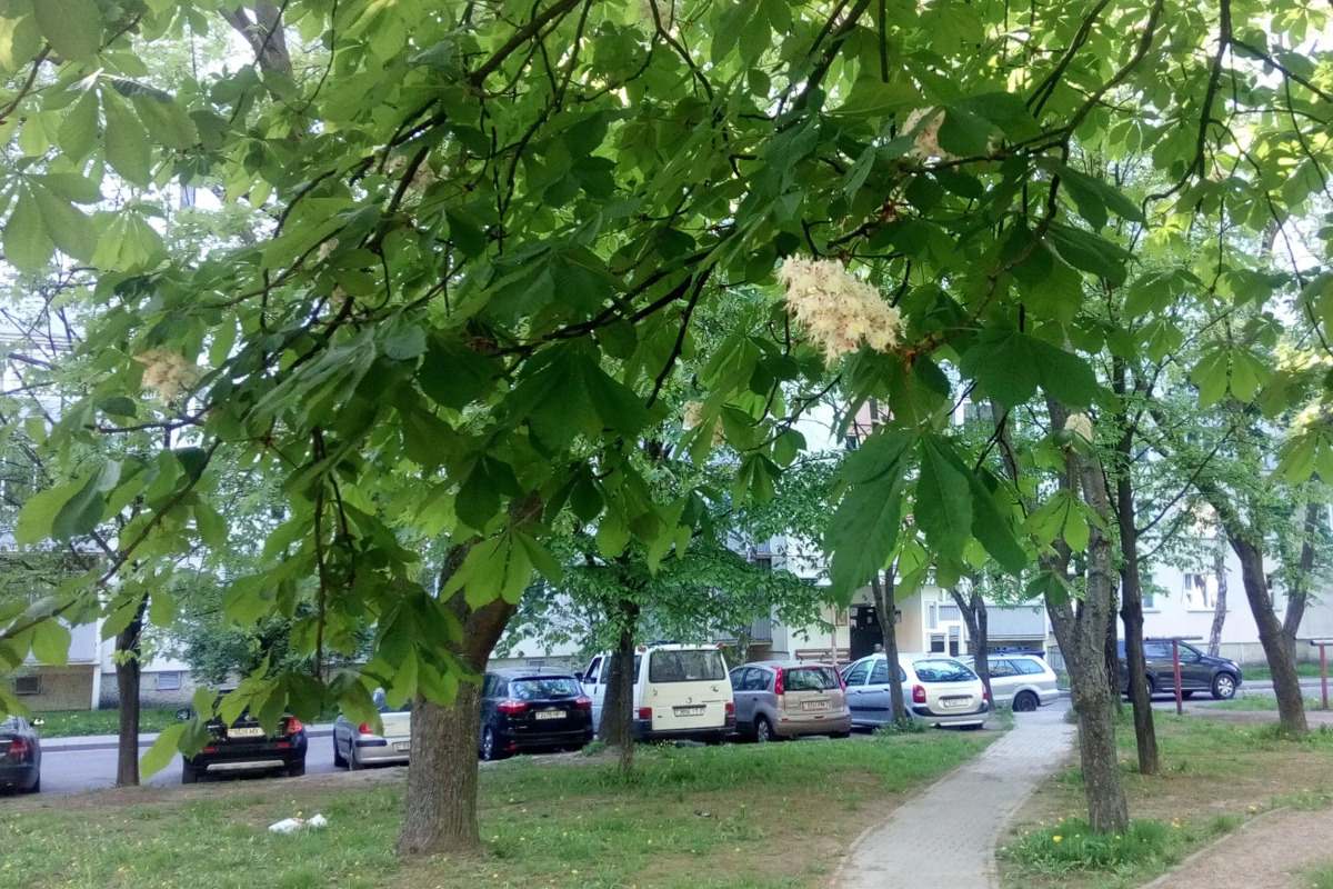Апартаменты Метро Пушкинская