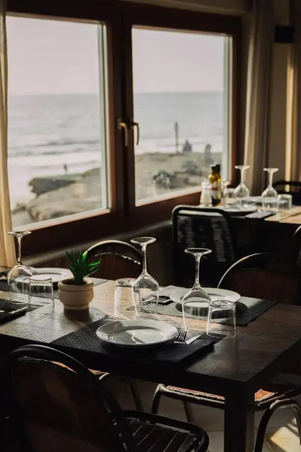 Отель Playa Sur Tenerife