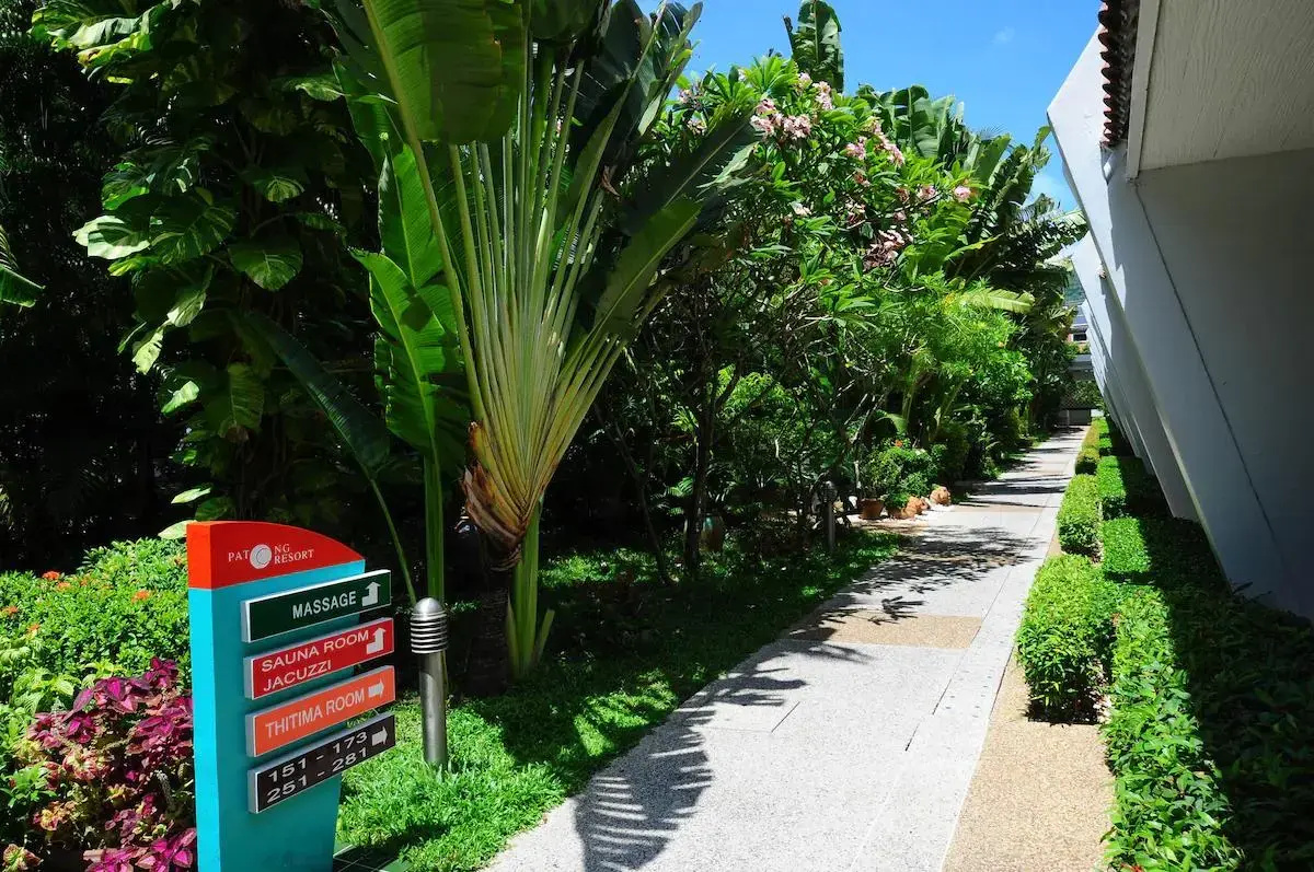 Отель Patong Resort