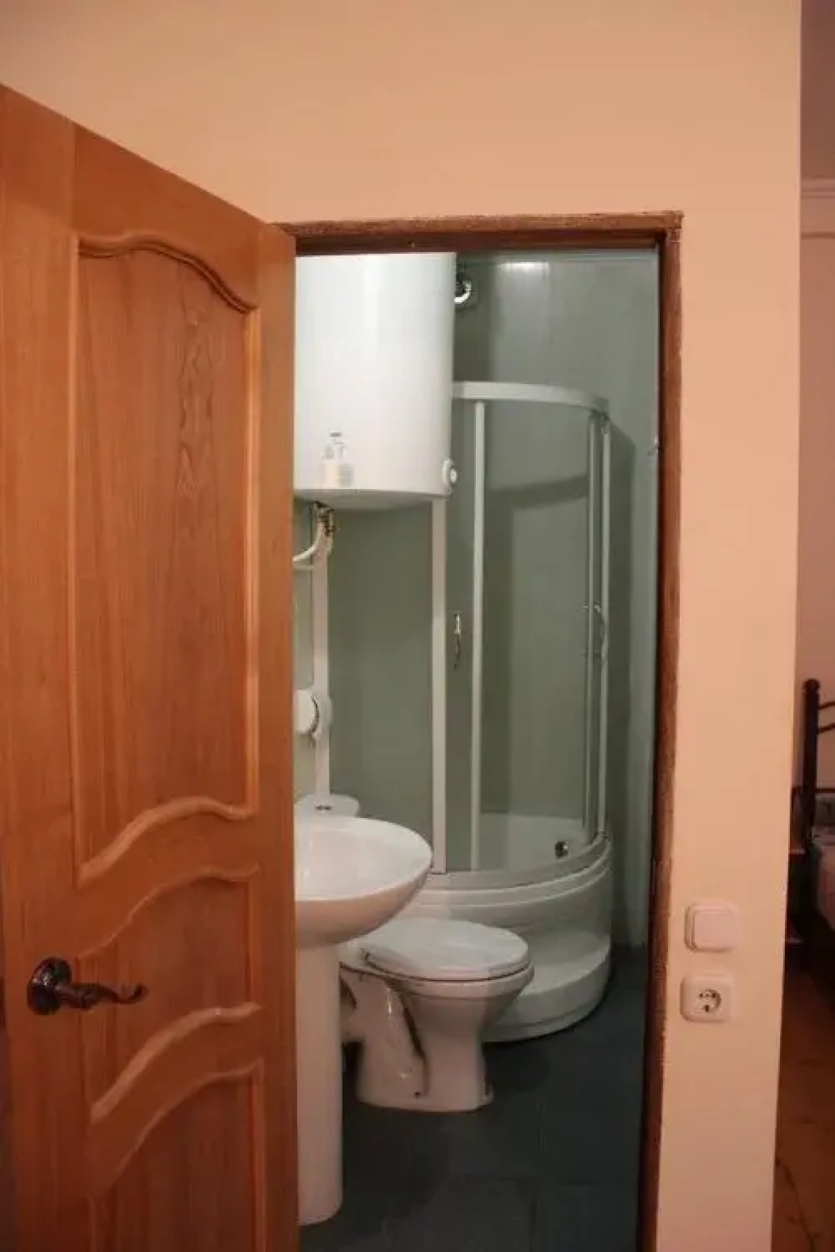 Гостиница Лебедь