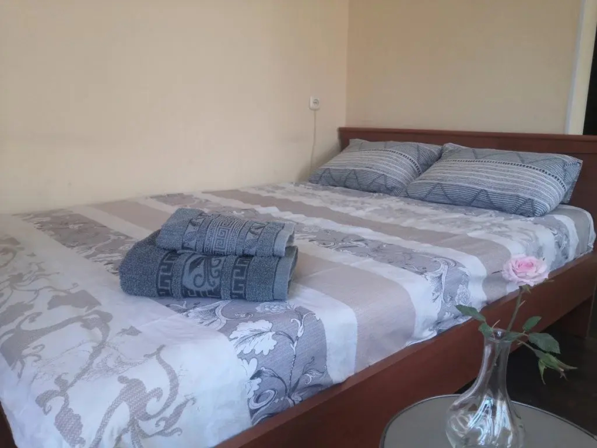 U Kliniki Meshalkina Apartments