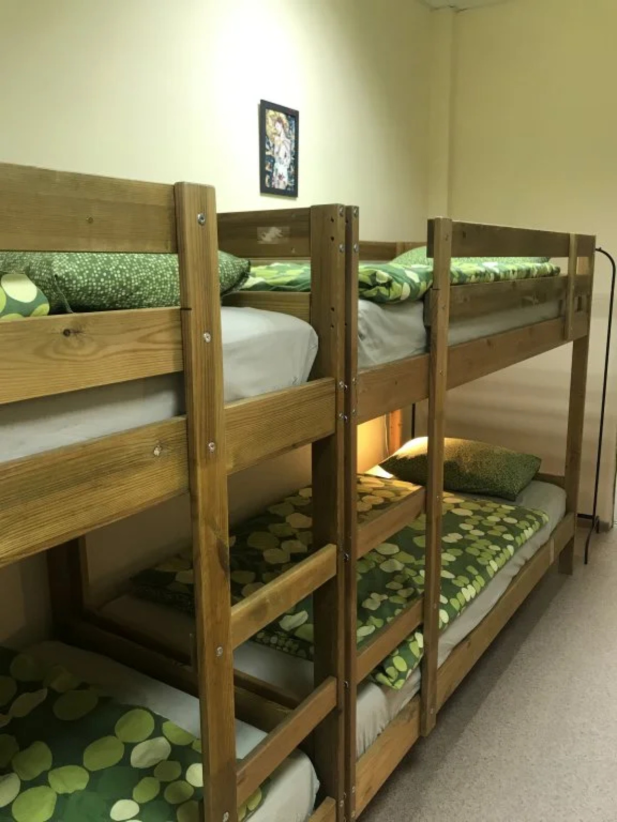 Жилые помещения 100 Druzej