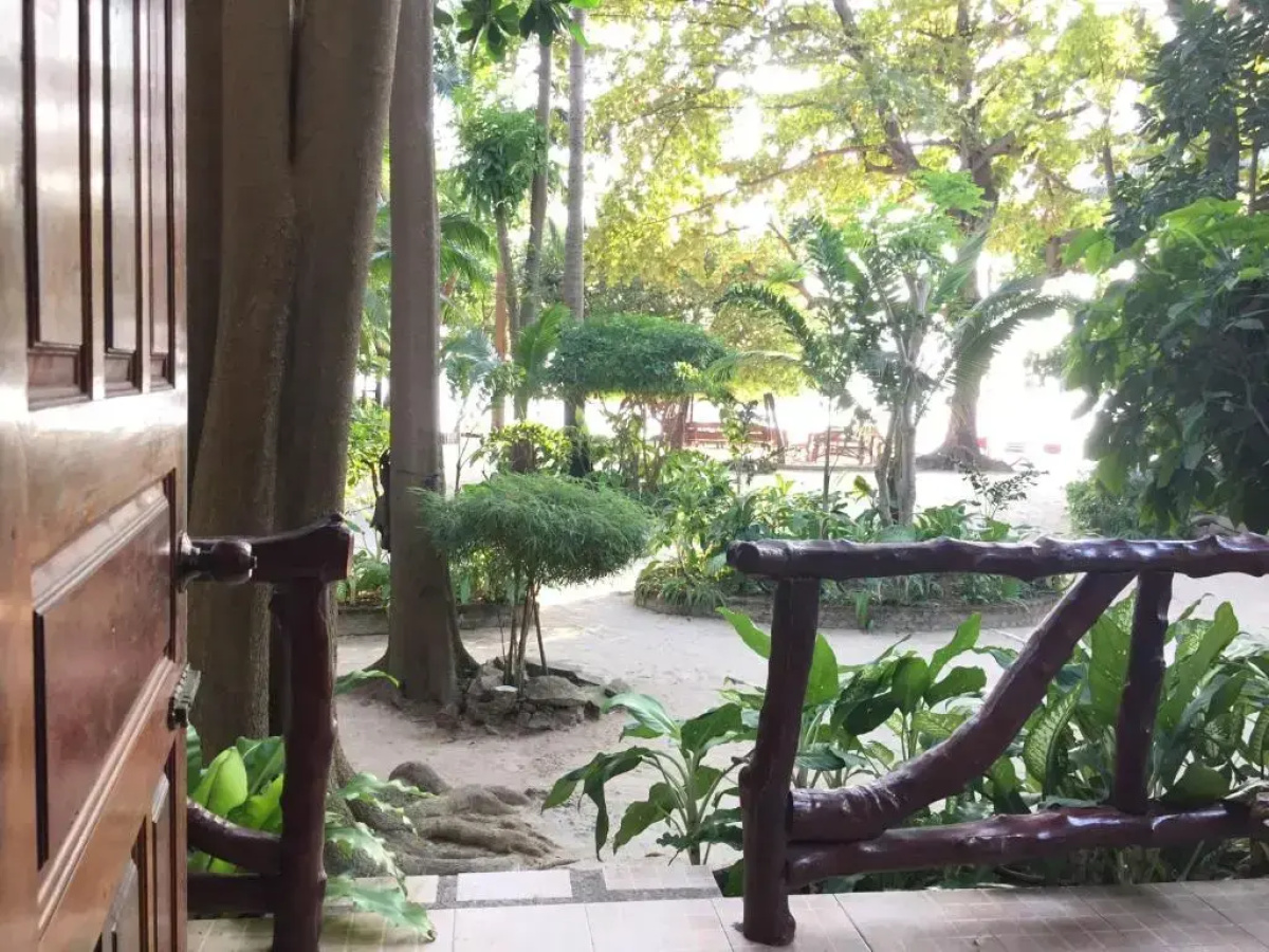 Big Fish Resort Koh Tao