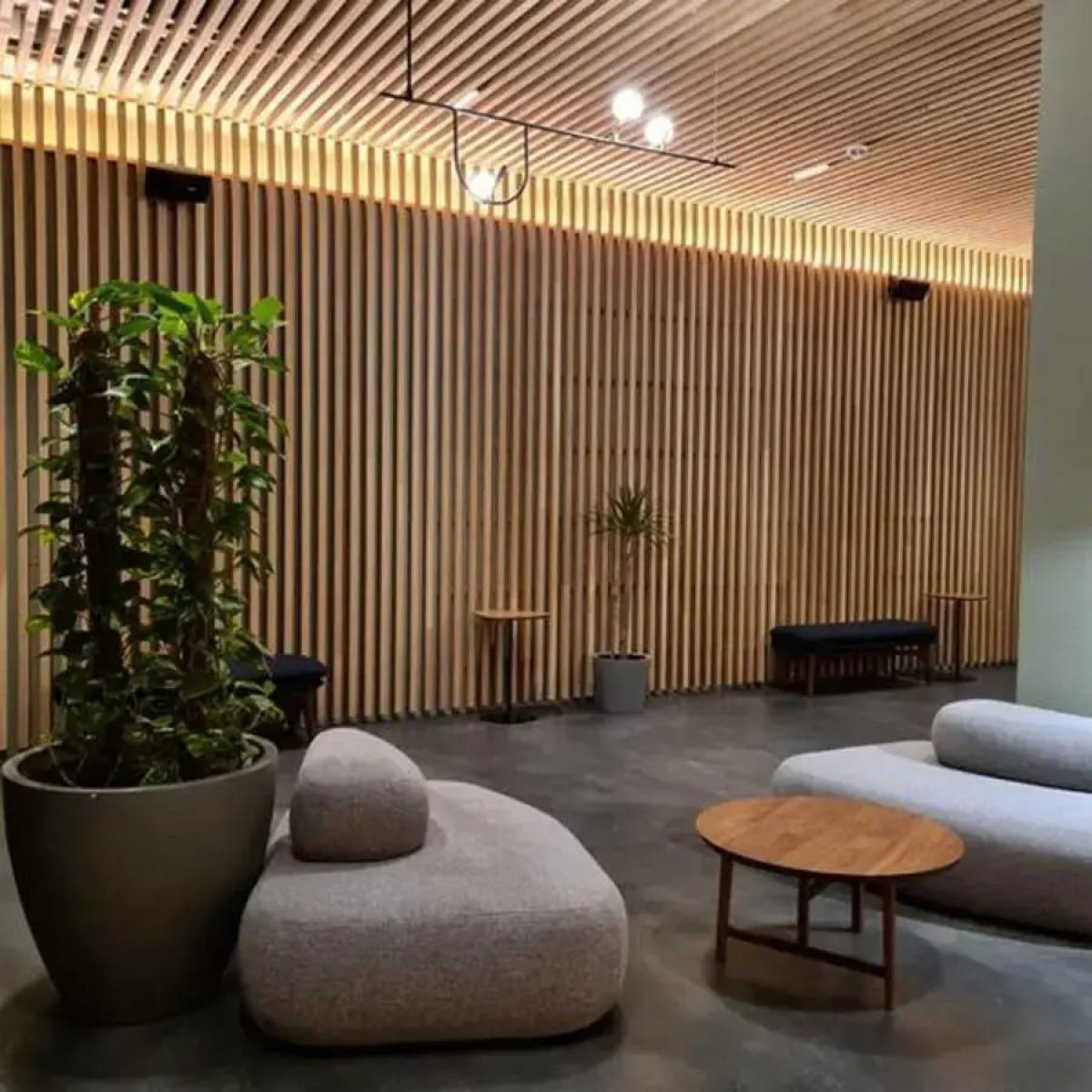 Zedwell Piccadilly Circus