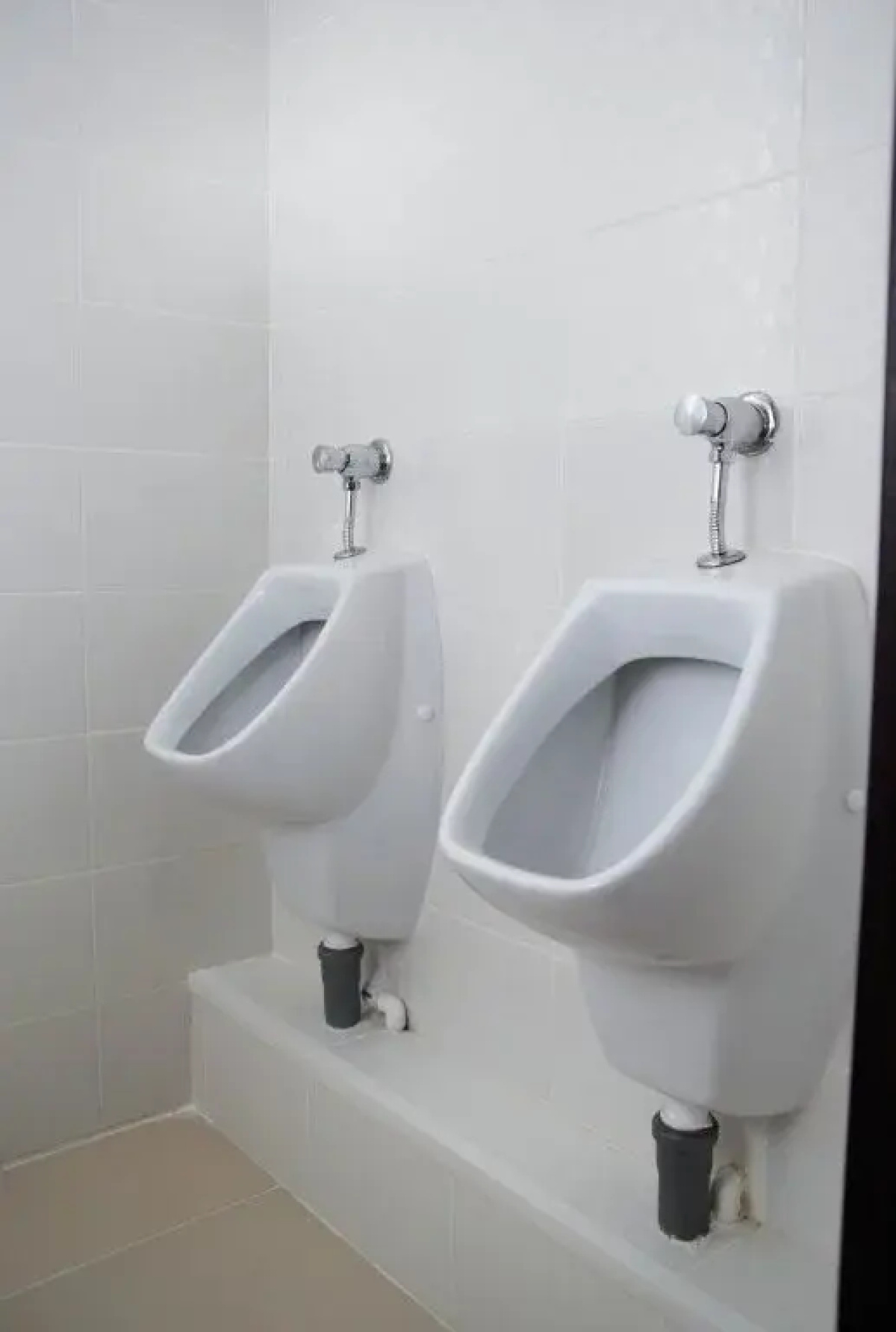 Жилые помещения Xl