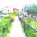 Image 8