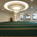 Image 14
