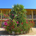 Passi Villas